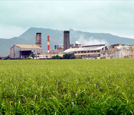 Sugar Mills